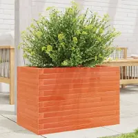 Prolenta Maison Exclusive - Pflanzkübel Wachsbraun 70x40x45,5 cm Massivholz Kiefer