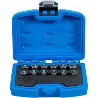 Bgs Injector Sealing Plug Set, 508 g