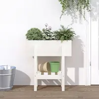 Prolenta Maison Exclusive - Pflanzkübel Weiß 62x30x69 cm Massivholz Kiefer
