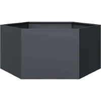 Prolenta Maison Exclusive - Pflanzkübel Anthrazit Sechseckig 104x90x45 Stahl