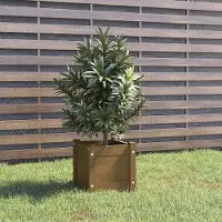 vidaXL "Rabatt" Pflanzkübel modernem Design - Blumentopf/Pflanzkasten - Honigbraun 31x31x31 cm Massivholz Kiefer - Beete CC20915