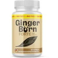 Glory Products OÜ Ginger Burn Forte Kapseln | Ideal begleitend für dein Ziel | Für Männer und Frauen | 60 Kapseln