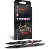 Pentel Pisak Pinsel Zeichenstift Künstler SESF30C-ST6ACENPVPL