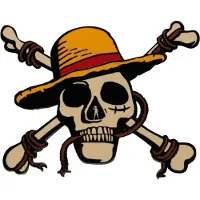 Fanatic One Piece Medaille Jolly Roger Limited Edition