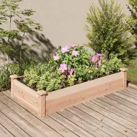 vidaXL "2026 Promotion" Hochbeet - Pflanzkasten - mit Einsatz 120x60x25 cm - Massivholz Tanne - Beete CC22201