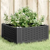 Prolenta Maison Exclusive - Pflanzkasten mit Erdspießen Schwarz 42,5x42,5x28,5 cm PP