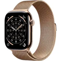Apple Watch Series 11 , OLED, Touchscreen, 64 GB, WLAN, GPS, 43,1 g
