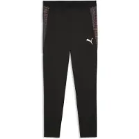 Puma Individualfinal Hosen