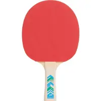 PRO TOUCH TT-Schläger Pro 3000 cinnamon