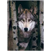 Eurographics Gray Wolf 1000pcs, 1000 Stück(e), Tiere