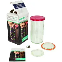 Weck 121462 Glas