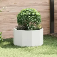 Prolenta Maison Exclusive - Pflanzkübel Weiß 60 x 60 x 35 cm Stahl