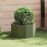 Prolenta Maison Exclusive - Pflanzkübel Olive Grün 60 x 60 x 35 cm Stahl