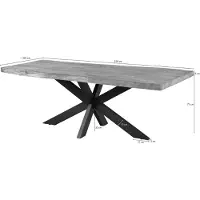 MASSIVMOEBEL24.DE MASSIVMOEBEL24 Baumtisch Mango 220x100x77 beige lackiert / Kreuzgestell anthrazit matt FREEFORM 5