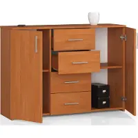BDW Kommode mit 4 Schubladen & 2 Türen, 110x80x35, Wohnzimmer, Erle