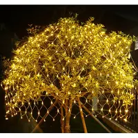 TolleTour LED Lichternetz 2*2M Lichtervorhang Lichterkette Lichterketten Leuchte 8 Modi Warmweiß
