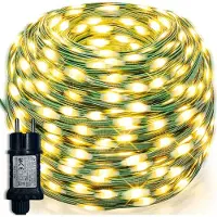 ROSNEK 20M LED Lichterkette Warmweiß Weihnachtsdeko Grün Draht Strombetrieben für Garten Party DIY Innen Weihnachtsbaum (PVC, 8Modi, Speicherfunktion, DC24V)
