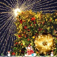 TolleTour LED lichterkette Lichtervorhang Deko Vorhanglichtermit 300 LED 8 Lichtmodi USB Lichterkette Beleuchtung für Weihnachten-IP44 Warmweiß
