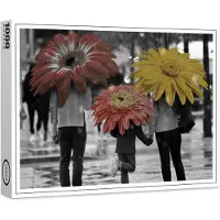 Raxxa Premium-Puzzle "Singing in the rain", 1000 Teile