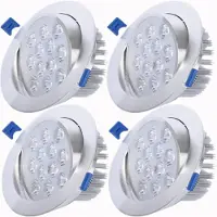 ROSNEK 4x 12W LED Schwenkbar Einbaustrahler Panel Deckenleuchte Strahler Einbauleuchte Deckenlicht, Naturweiß