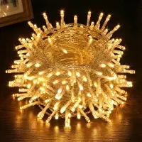 Rosikey 30M 300LEDs 8 Modi Lichterkette Strom LED Weihnachten Lichterkette Transparente Kabel Zimmer Deko Licht Party Garten Weihnachtsbaum Beleuchtung, Gelb