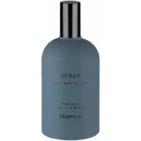 Blomus Duftspray Tuoksu Ocean 100 ml