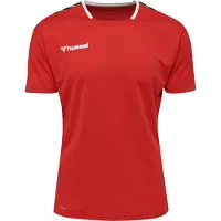 Hummel Trikot hmlAUTHENTIC Poly HML
