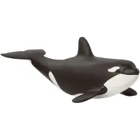Schleich WILD LIFE 14836, 3 Jahr(e), Ice & Ocean, Wild animals / adventure toys, Mehrfarbig, Kunststoff, 1 Stück(e)