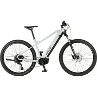 Prophete "Dice 3.8" 10 Gang Shimano Cues Schaltwerk Kettenschaltung Mittelmotor 250 W