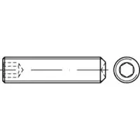 F. REYHER Nchfg. GmbH & Co. KG Gewindestift ISO 4029 Ringschneide/Innen-6-kant M 2,5 x 5 45 H