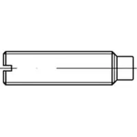 F. REYHER Nchfg. GmbH & Co. KG Gewindestift ISO 7435 m.Schlitz/Zapfen M 12 x 50 14 H