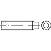 F. REYHER Nchfg. GmbH & Co. KG Gewindestift ISO 4028 Zapfen/Innensechskant M 12 x 35 45 H