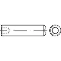 F. REYHER Nchfg. GmbH & Co. KG Gewindestift ISO 4029 Ringschneide/Innen-6-kant M 6 x 5 45 H