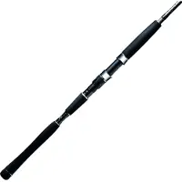Molix Fioretto Speciale SW Stickbait 120, 2,51m, 8,24ft, 0-120g, 2 Teile, Spinning Angelrute, MO-MFS-SW-83S