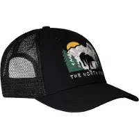 The North Face Cap Emb Mudder NF0A7WH396O1 Schwarz