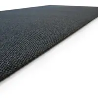 Floordirekt Schmutzfangmatte Hong Kong Extra Robust Rutschfest Anthrazit 80 x 200 cm