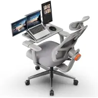 NEWTRAL H003 Ergonomischer Bürostuhl mit einzigartiger adaptiver Lendenwirbelstütze, Verstellbarer Kopfstütze Grau+AbnehmbareWorkstation Desktop