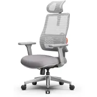 Longer Newtral H003 Ergonomischer Bürostuhl, Hochlehniger Schreibtischstuhl mit einzigartiger adaptiver Lendenwirbelstütze, Verstellbarer Kopfstütze Grau