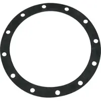 ABIC Flanschdichtung Speicher 69060-030
