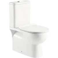 DM Duschmeister Spülrandloser WC-Monoblock.. - Badkeramik