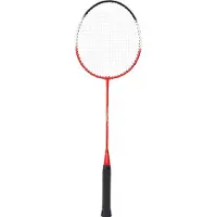 PRO TOUCH Badm-Schläger Speed 100 GREY/YELLOW