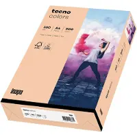 Tecno Multifunktionspapier colors A4 160 g/qm lachs 250 Blatt