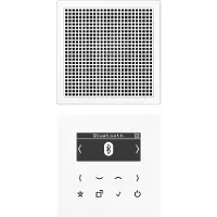 JUNG DAB LS1 Smart Radio DAB+ Radio, DAB+