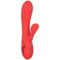 Calexotics - Palisades Passion 1 St
