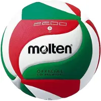 Molten - Volleyball Logo PP218 (5) (Weiß/Rot/Grün)