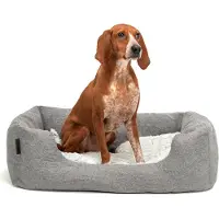 Lionto Kuschelbett für Hunde, gemütliches Hundebett mit herausnehmbarem Wendekissen, rutschfestem Boden, 80x60 cm, grau