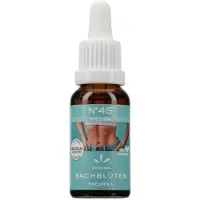 Hager Pharma GmbH Bachblüten Nr.45 Figura Tropfen 20 ml zum Einnehmen