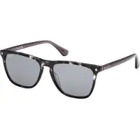 Web WE0363 Grey 55/16/145 Herren Sonnenbrillen