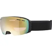 Alpina Skibrille Granby Qv Unisex Black Matt