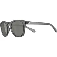 Alpina sport Sonnenbrille Alpina Sunbeam grau transp. glänzend, Glas grün, Kat.3